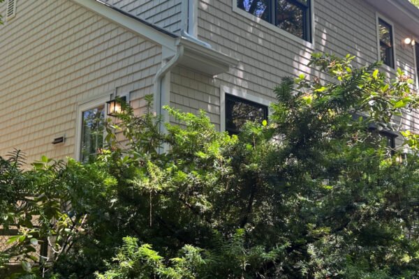 cedar impression siding installers in my area